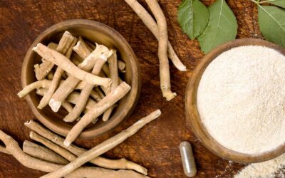 Ashwagandha: Wirkung auf Frauen und die Rolle im Ayurveda