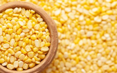 Mung Dal (mit Rezept): Ein ayurvedischer Superstar